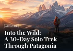 Blog Article Hero Layout